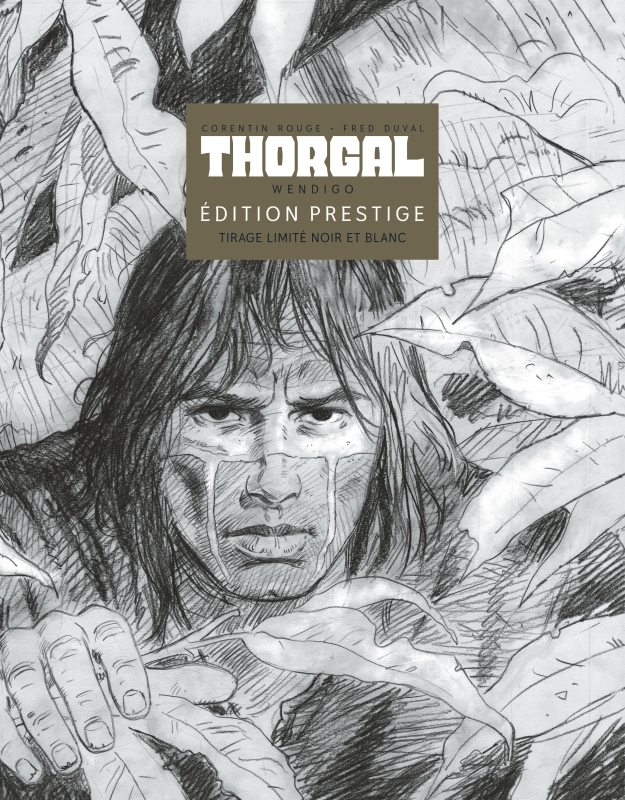 Couverture de l'album Thorgal Saga Tome 2 Wendigo