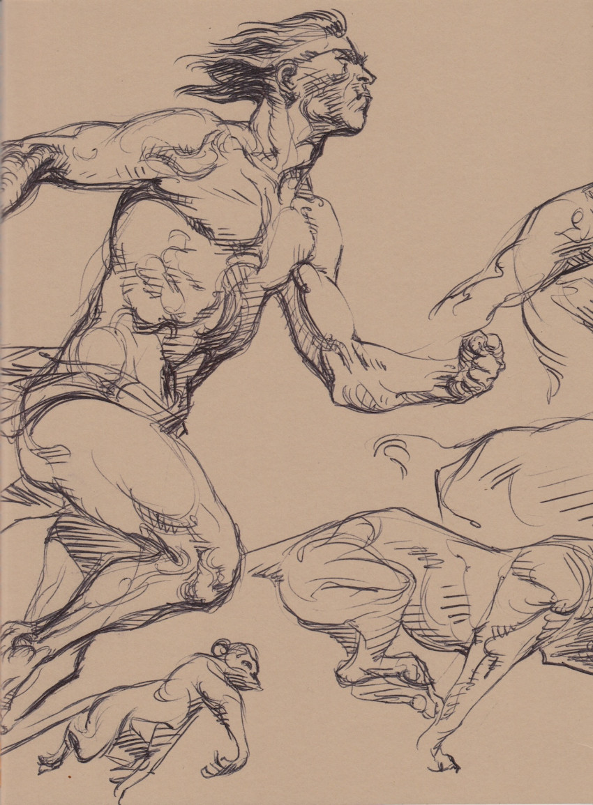 Couverture de l'album Le roi de la Jungle Les croquis pour le Roi de la Jungle