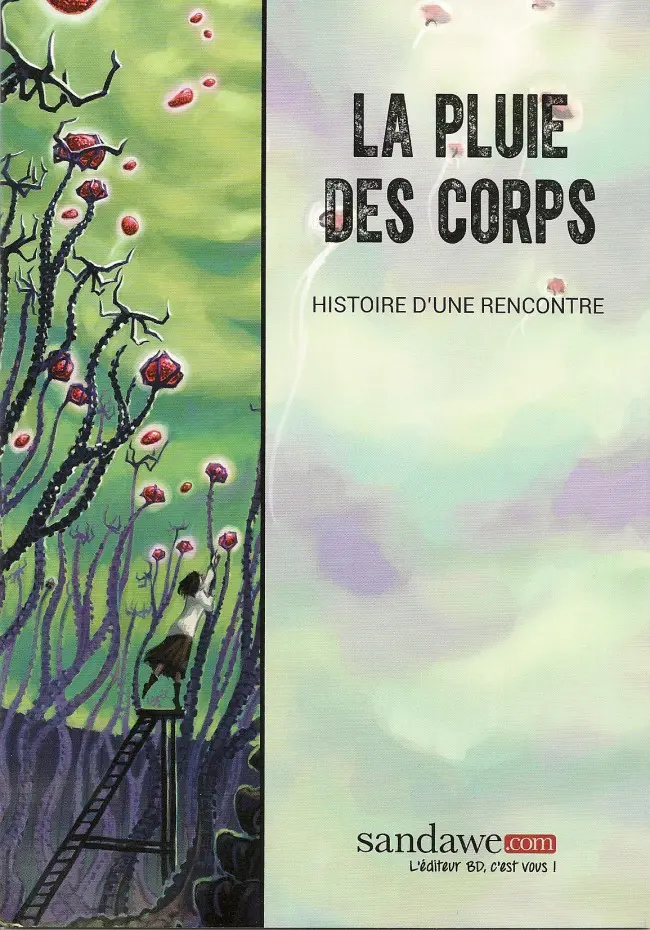 Couverture de l'album La pluie des corps Histoire d'une rencontre
