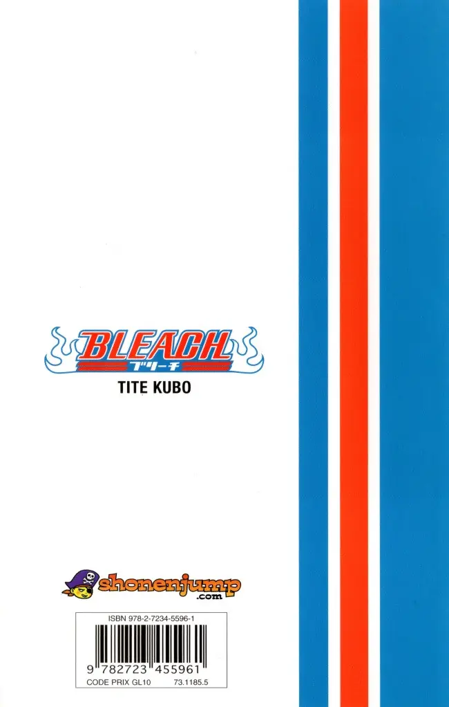 Verso de l'album Bleach Tome 19 The Black Moon Rising