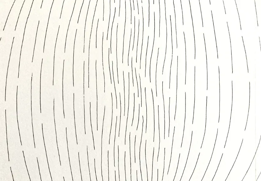 Verso de l'album Sclérose
