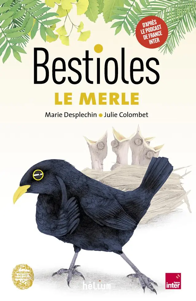 Couverture de l'album Bestioles 4 Le merle