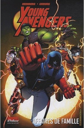 Couverture de l'album Young Avengers Affaires de famille