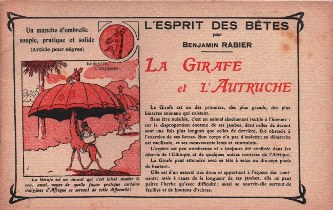 Couverture de l'album Esprit des bêtes L'esprit des bêtes : La girafe et l'autruche