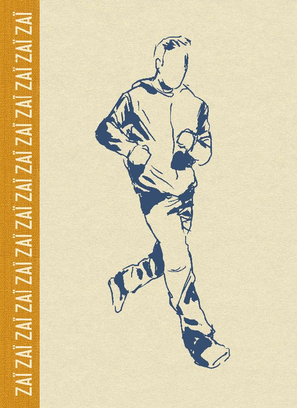 Couverture de l'album Zaï zaï zaï zaï