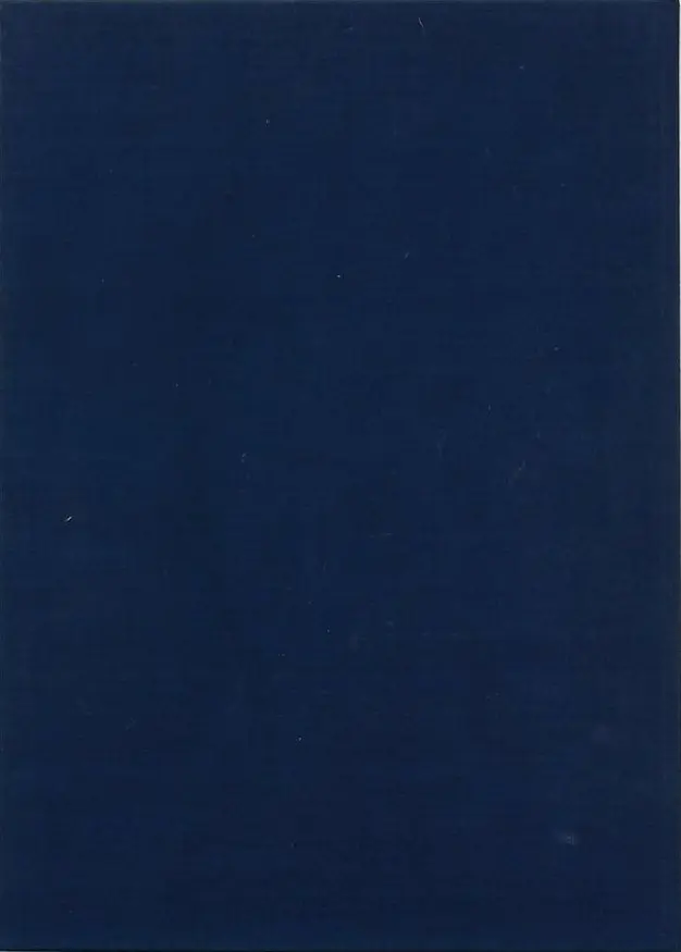 Verso de l'album Blueberry Tome 22 Le bout de la piste