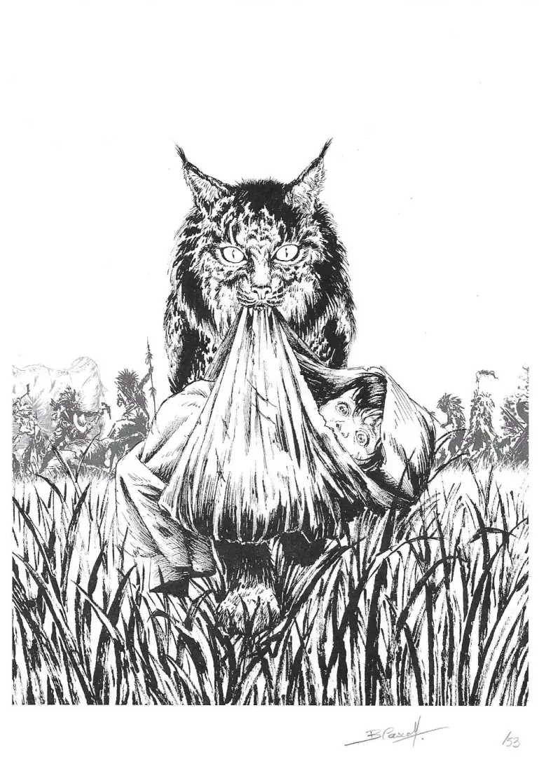 Autre de l'album Catamount Tome 2 Le train des maudits