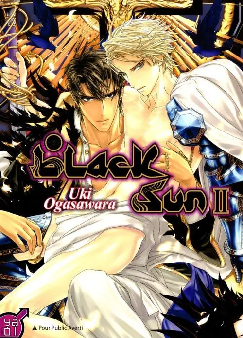 Couverture de l'album Black Sun II