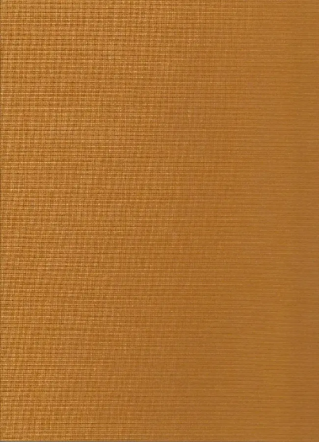 Verso de l'album Olivier Rameau Tome 8 La trompette du silence