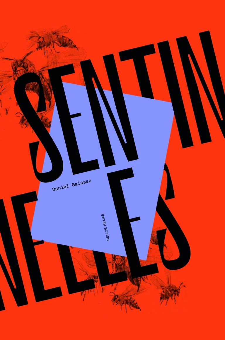 Couverture de l'album Sentinelles