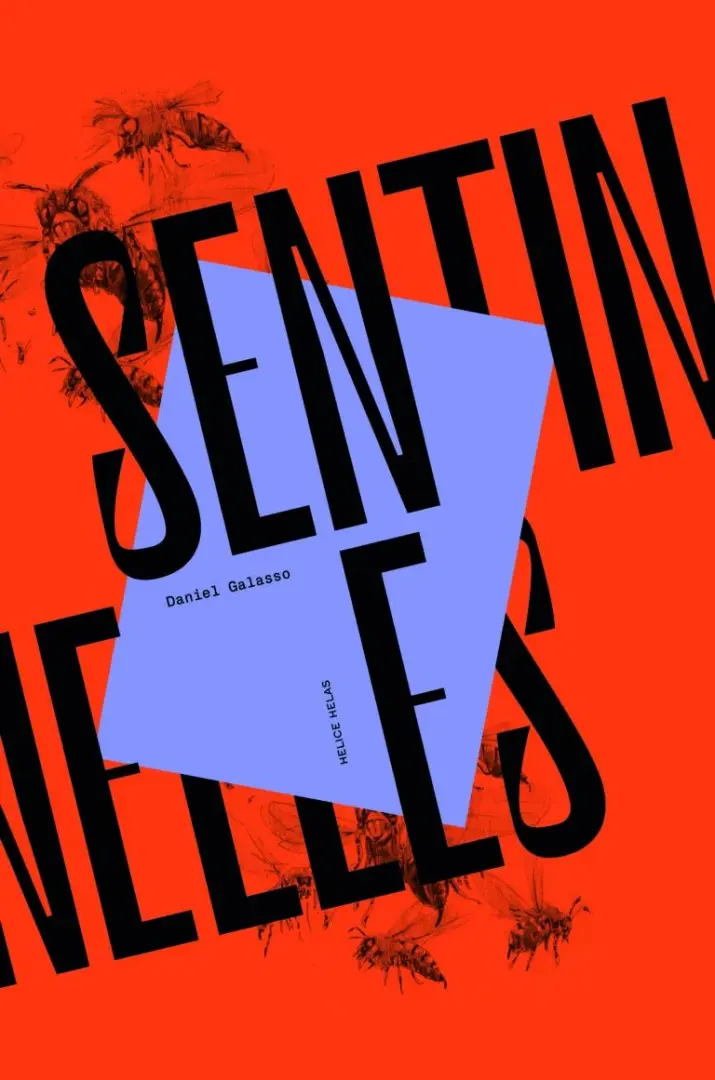 Couverture de l'album Sentinelles