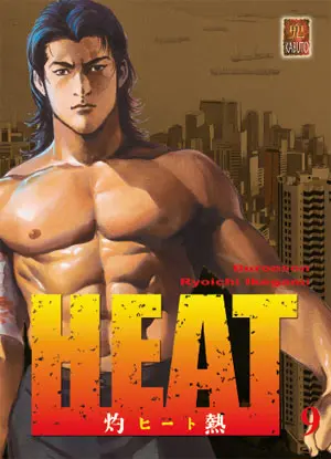 Couverture de l'album Heat 9