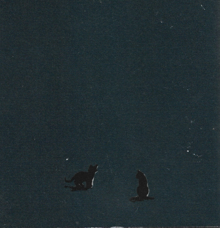 Verso de l'album La trilogie Montréalaise