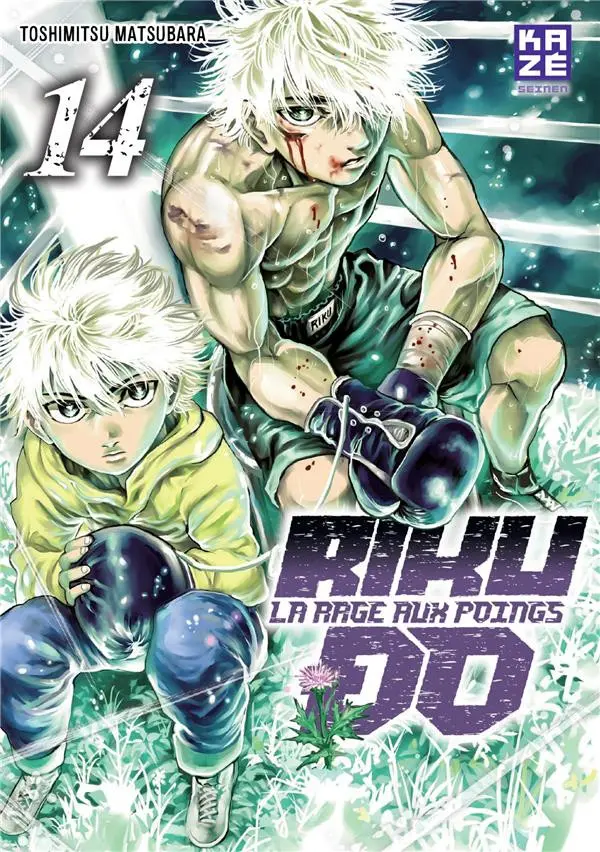 Couverture de l'album Riku-do - La rage aux poings 14
