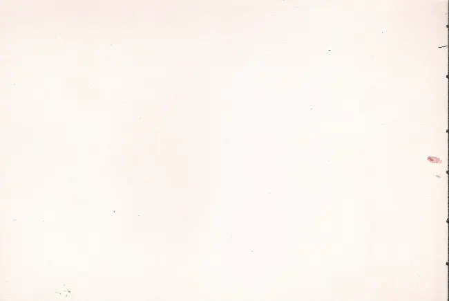 Verso de l'album La Petite Ènne et le p'tit N.