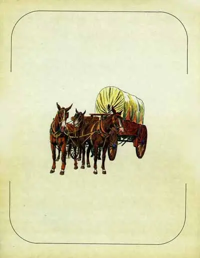 Verso de l'album L'Homme du Texas