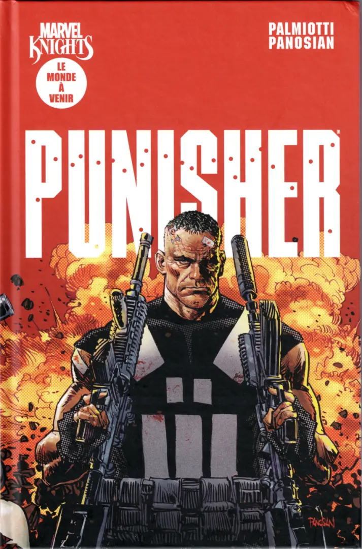 Couverture de l'album Marvel Knights : Punisher Le Monde à venir