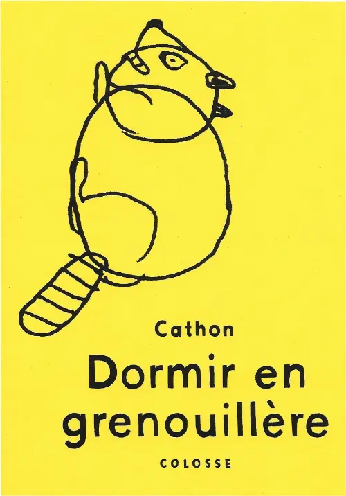Couverture de l'album Dormir en grenouillère
