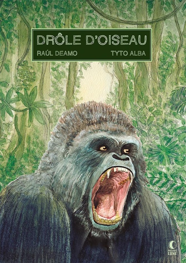 Couverture de l'album Drôle d'oiseau