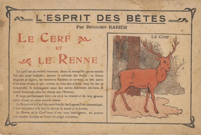 Couverture de l'album Esprit des bêtes Esprit des bêtes : Le cerf et le renne