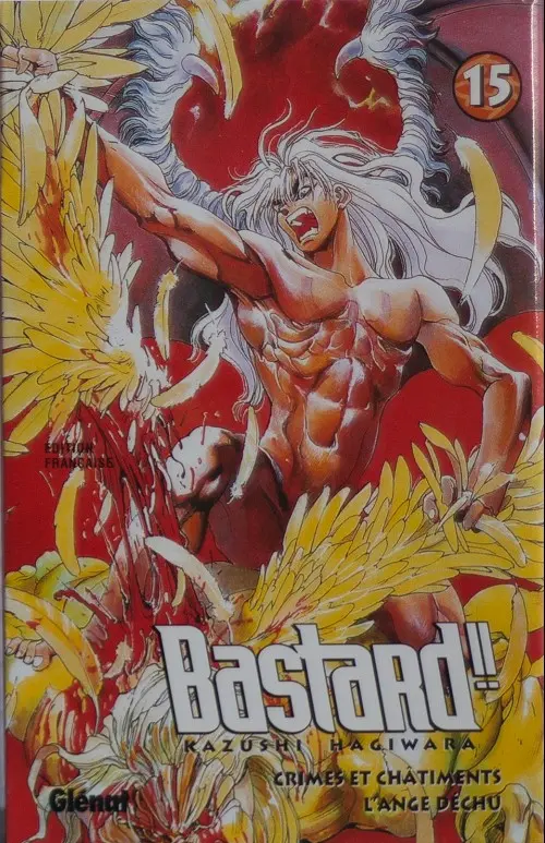 Couverture de l'album Bastard !! 15 Crimes et châtiments - l'ange déchu