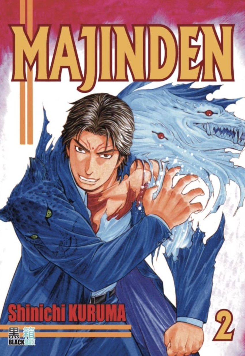 Couverture de l'album Majinden 2