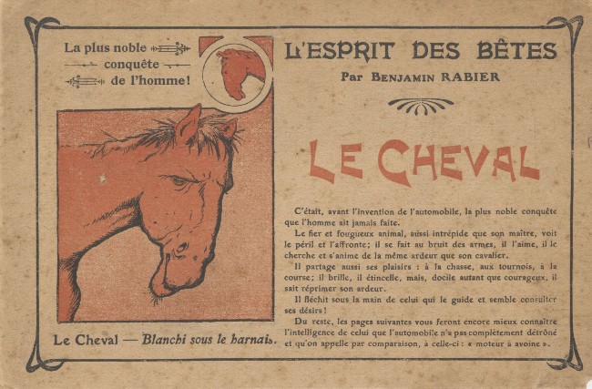 Couverture de l'album Esprit des bêtes Esprit des bêtes : Le cheval