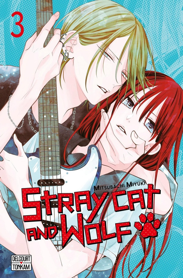 Couverture de l'album Stray cat and wolf 3