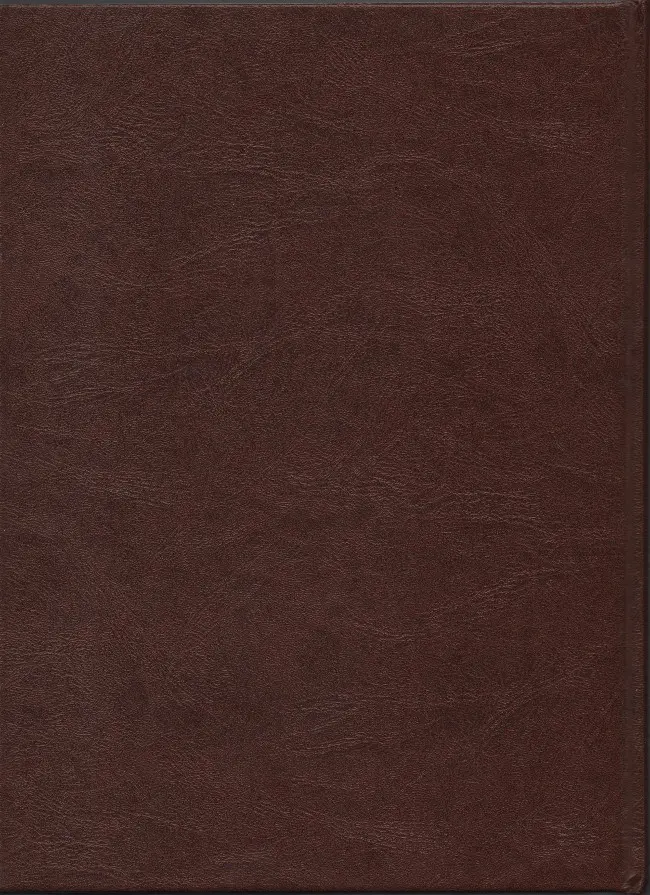 Verso de l'album Les Tuniques Bleues Intégrale Rombaldi Volume 9 Grumbler et fils - Vertes années - Captain Nepel - Quantrill