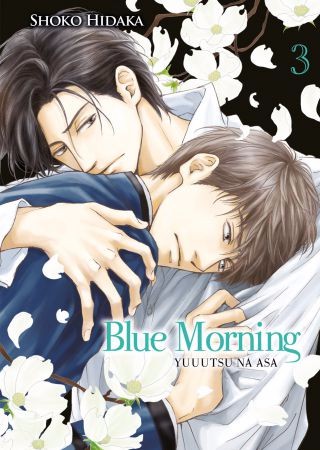 Couverture de l'album Blue Morning 3