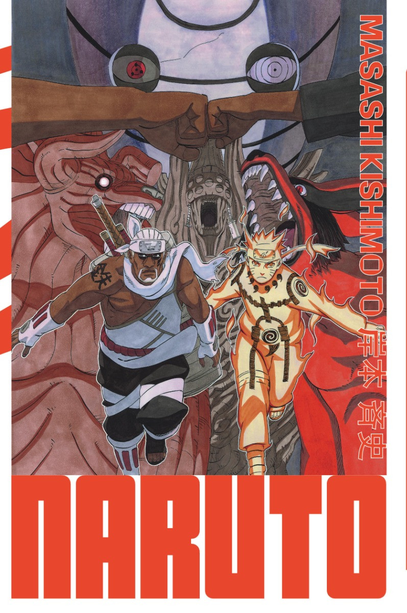 Couverture de l'album Naruto Edition Hockage 29