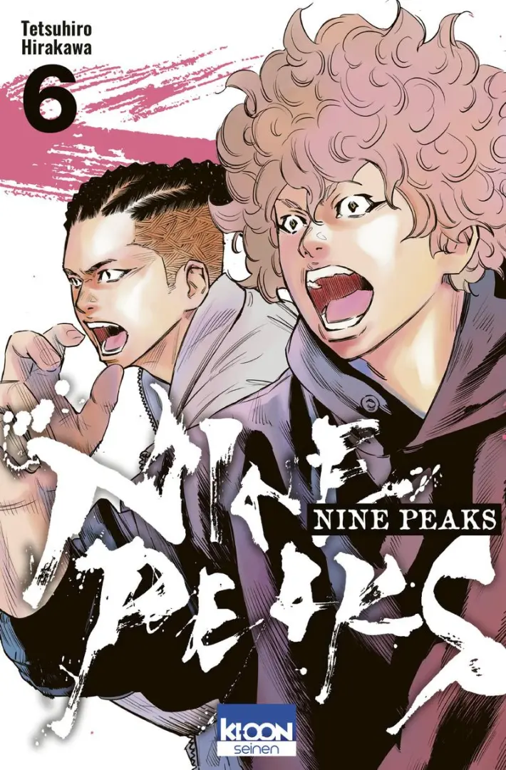 Couverture de l'album Nine Peaks 6