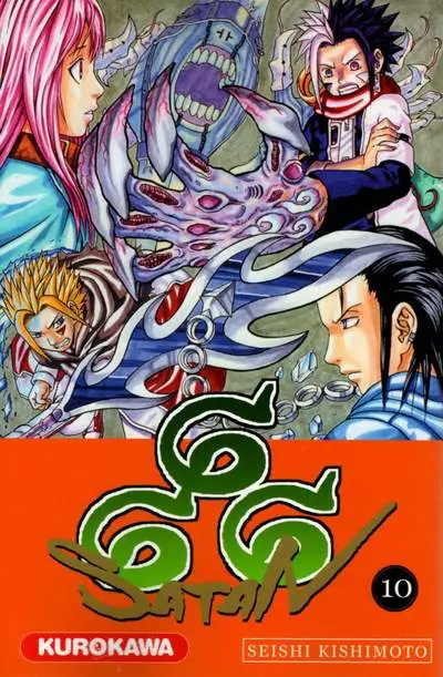 Couverture de l'album Satan 666 10