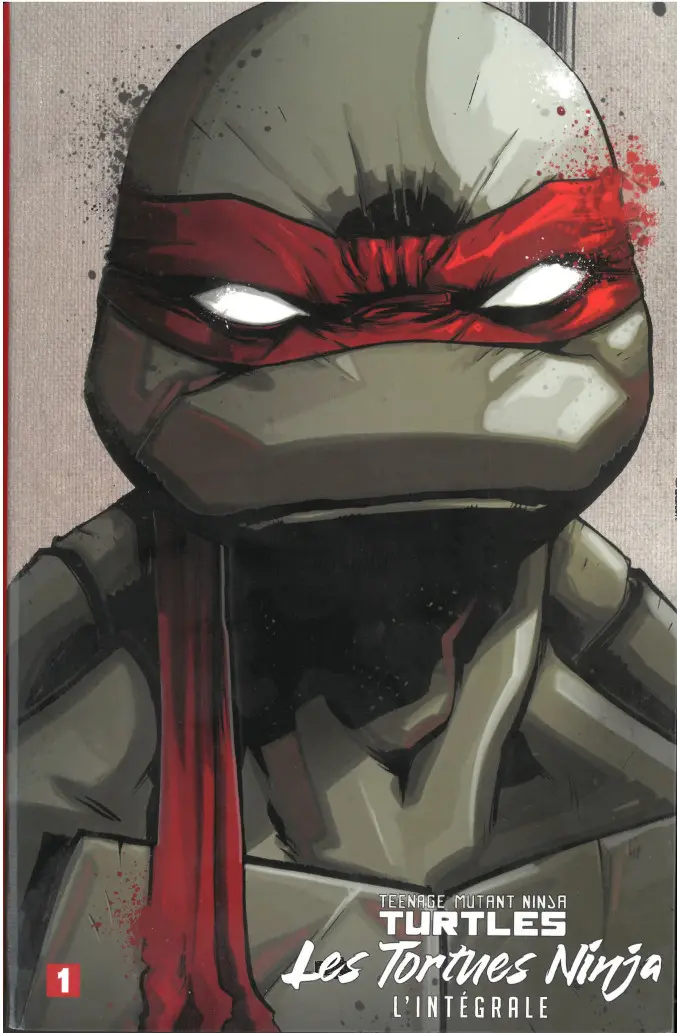 Couverture de l'album Teenage Mutant Ninja Turtles - Les Tortues Ninja L'intégrale 1