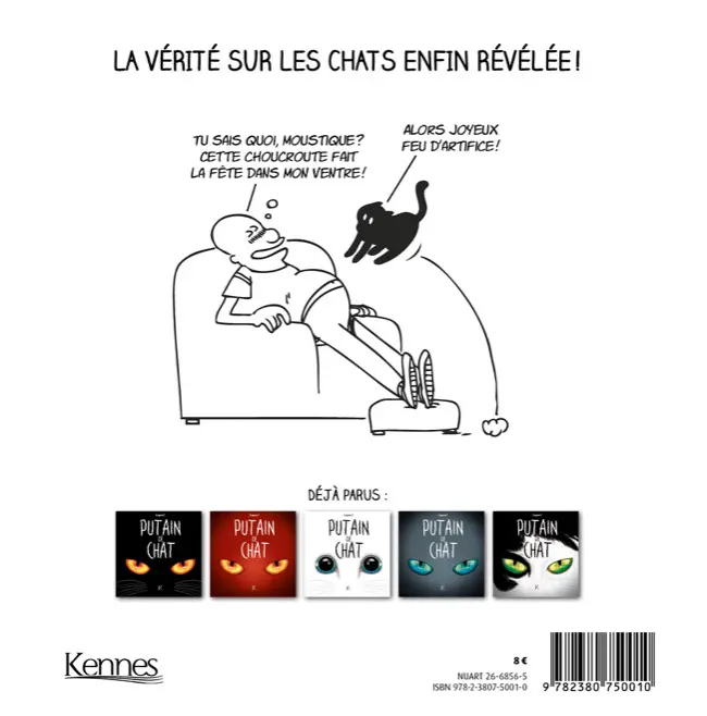 Verso de l'album Putain de chat III