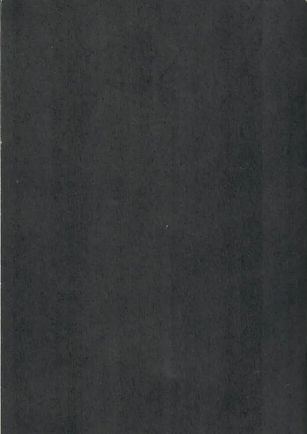Verso de l'album Le Chant des anguilles