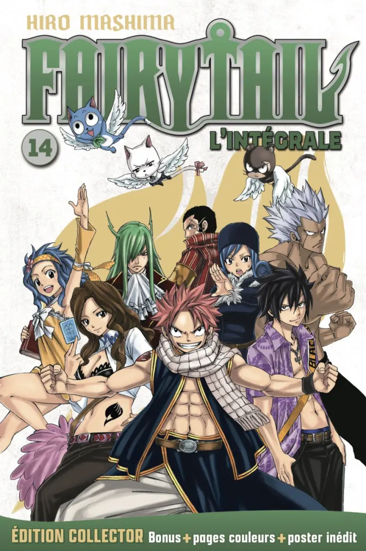 Couverture de l'album Fairy Tail - Hachette Collection 14