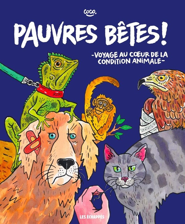 Couverture de l'album Pauvres bêtes ! Voyage au coeur de la condition animale