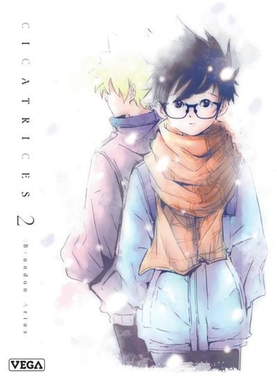 Couverture de l'album Cicatrices 2