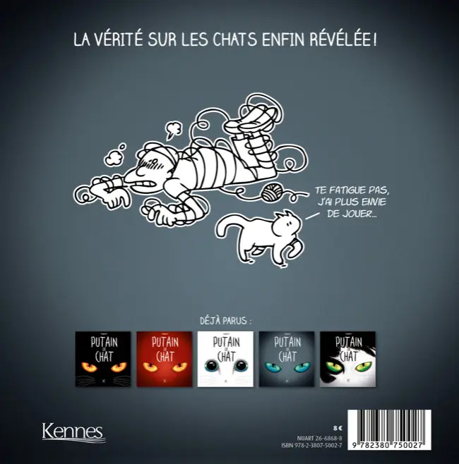 Verso de l'album Putain de chat IIII