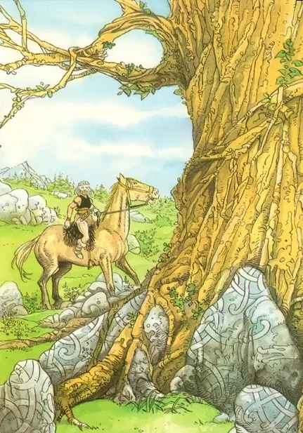Verso de l'album Solveig Tome 2 La sorcière et le corbeau