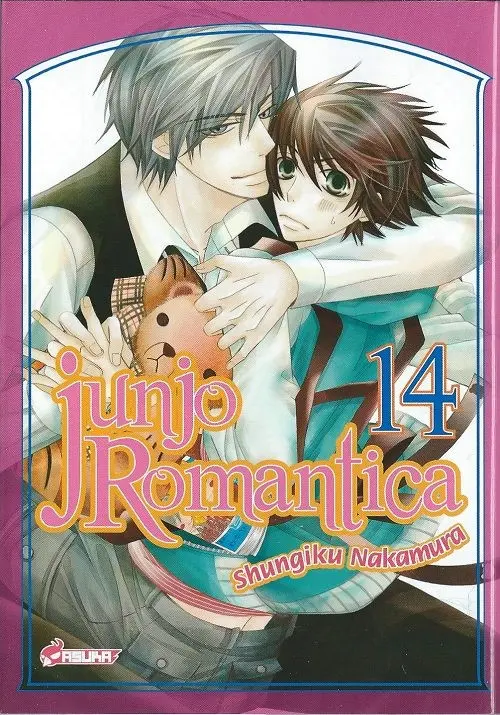 Couverture de l'album Junjo Romantica 14