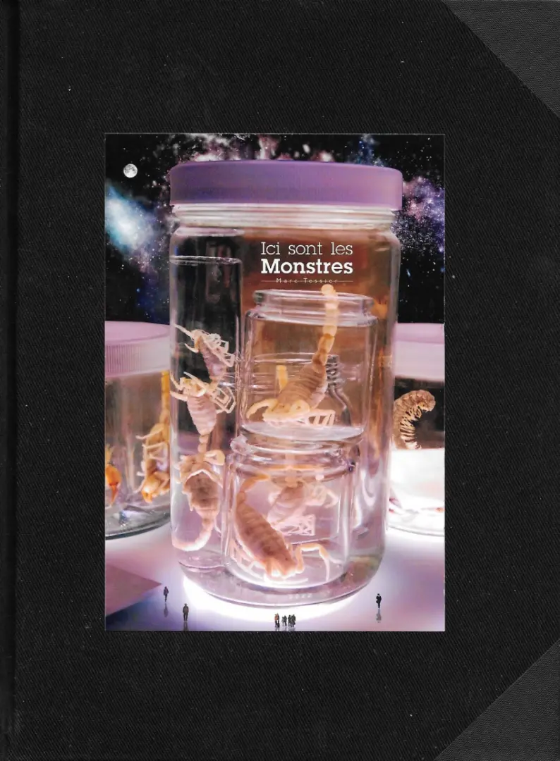 Couverture de l'album Ici sont les monstres