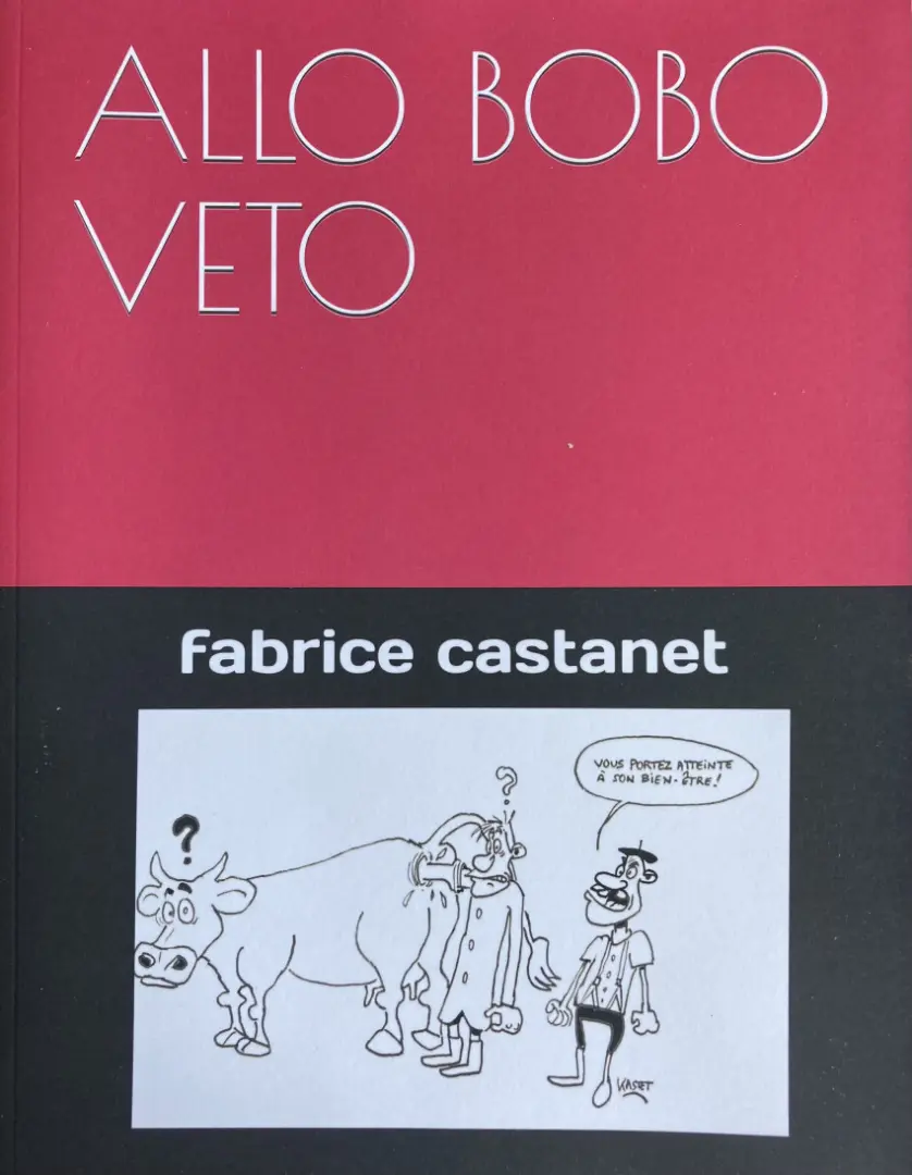 Couverture de l'album Allo bobo veto