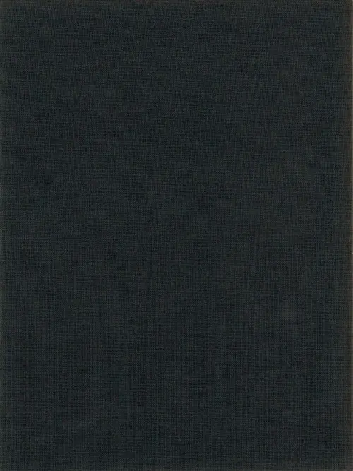 Verso de l'album Lady Polaris