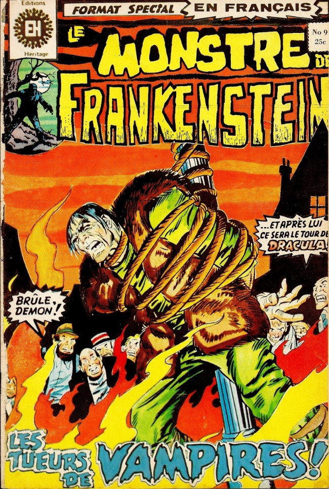 Couverture de l'album Le Monstre de Frankenstein Tome 9 Les tueurs de vampires !