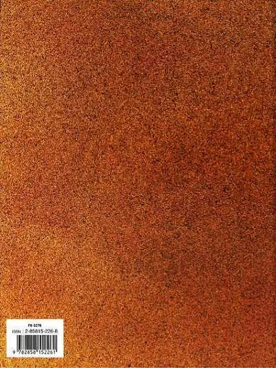 Verso de l'album Les Bidochon Tome 15 Bidochon mère (môman)