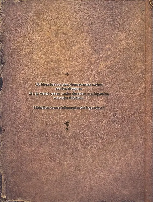 Verso de l'album Draconis Artbook
