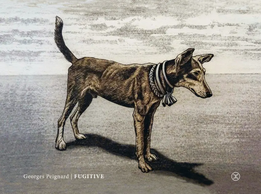 Couverture de l'album Fugitive