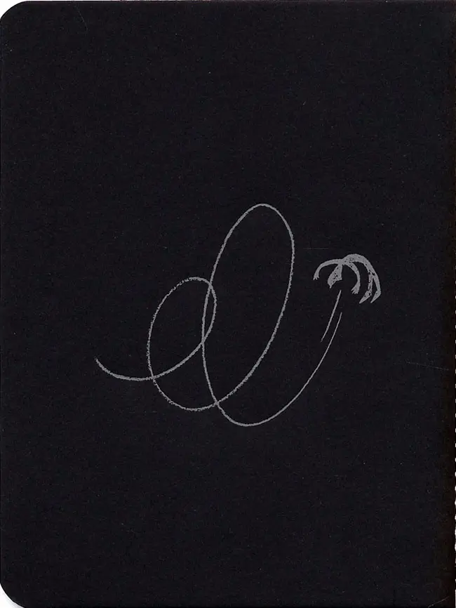 Verso de l'album Vanité